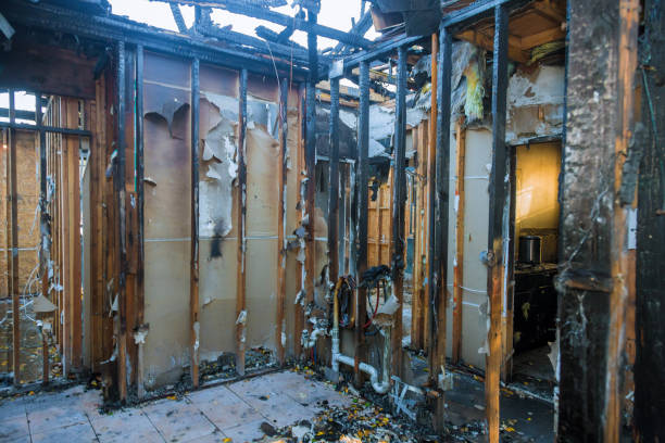 Professional Smoke Damage Removal technician working in Whitestown, IN